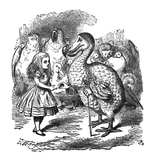 This illustration from Alice in Wonderland, shows her greeting a Dodo. Its relevance here is it mirrors the IT Director attempting to confront the conservative attitudes of the other members of the Board in the case study.