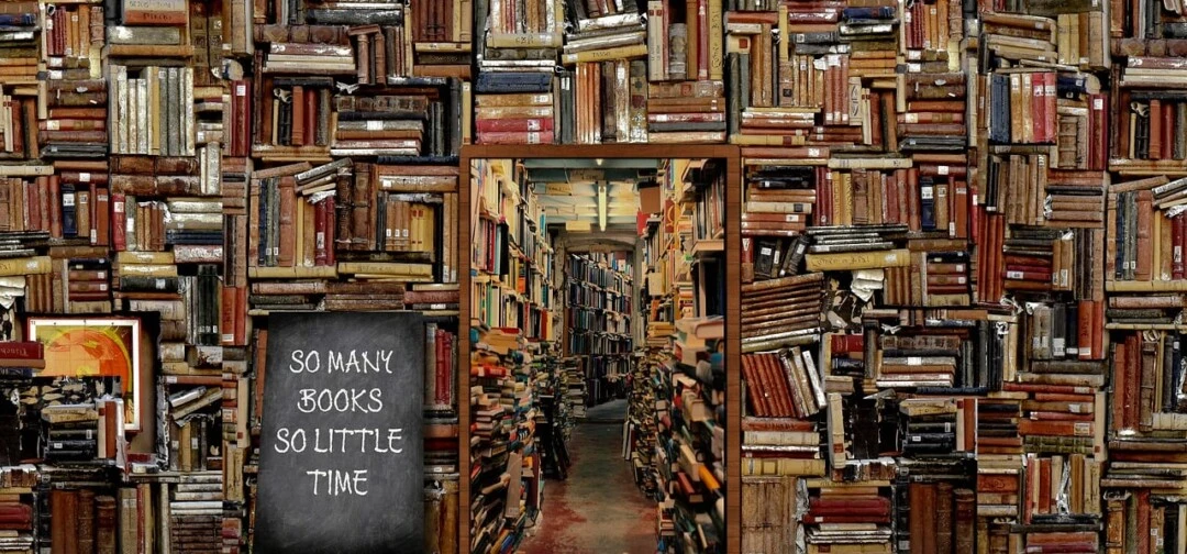 This picture conveys the challenge of maintaining an inventory and has a sign outside say "so many books so little time" .  An apt message applicable to IT Inventory.